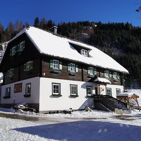 Der Perweinhof Apartment Donnersbachwald Ngoại thất bức ảnh