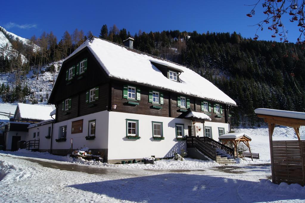 Der Perweinhof Apartment Donnersbachwald Ngoại thất bức ảnh